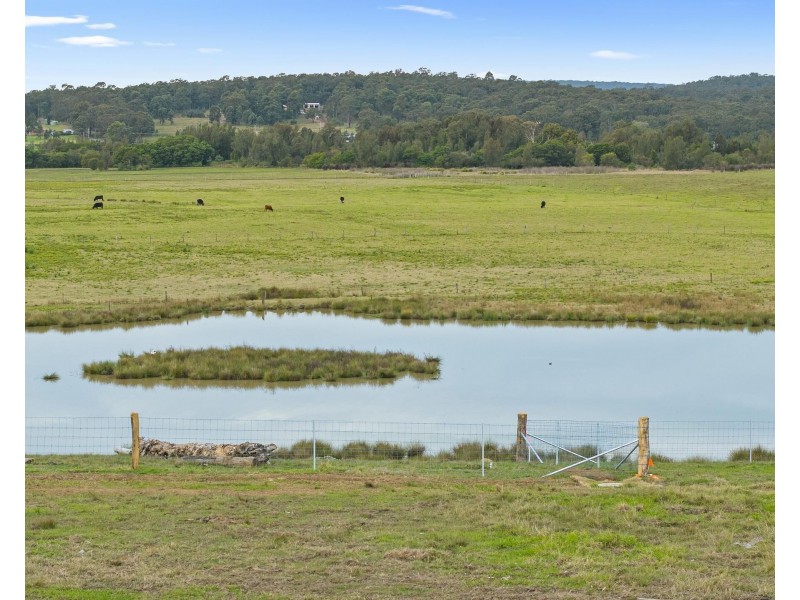 Lot 201, Camargo Circuit, Buchanan NSW 2323