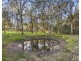 56 Dunlop Drive, Paxton NSW 2325