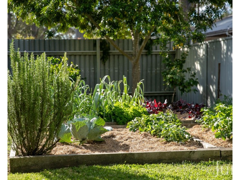 10 Scott Street, North Rothbury NSW 2335
