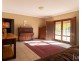Homestead/258 Standen Drive, Lower Belford NSW 2335