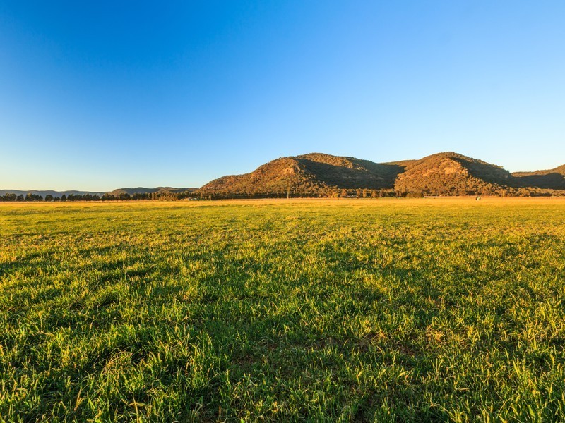 43/ Milbrodale Road, Broke NSW 2330