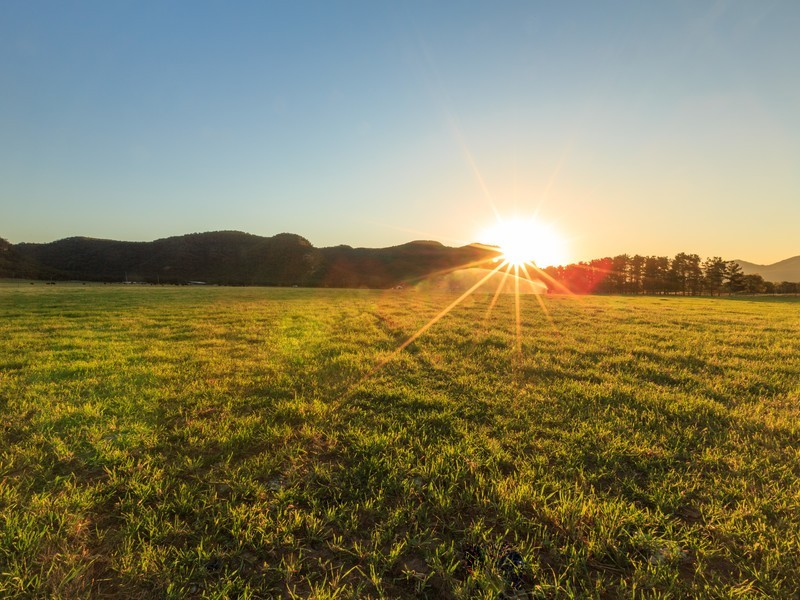 41/ Milbrodale Road, Broke NSW 2330