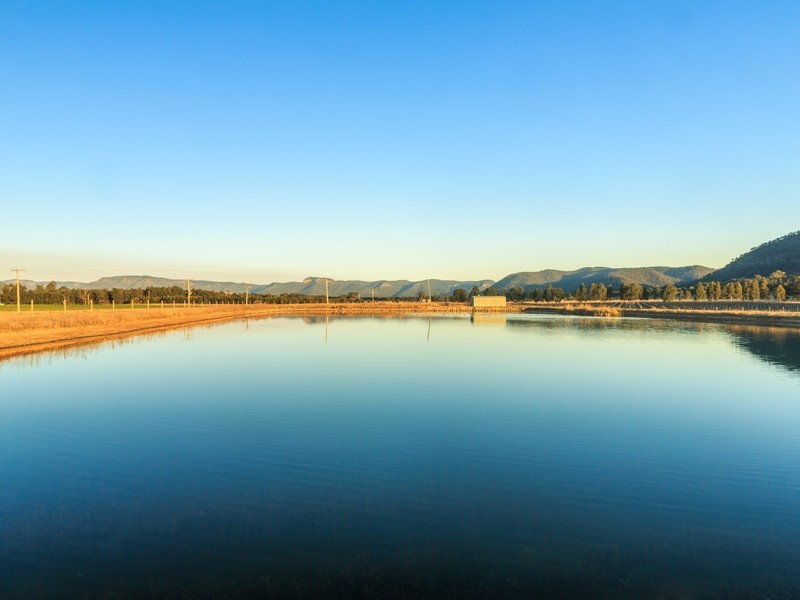 41/ Milbrodale Road, Broke NSW 2330