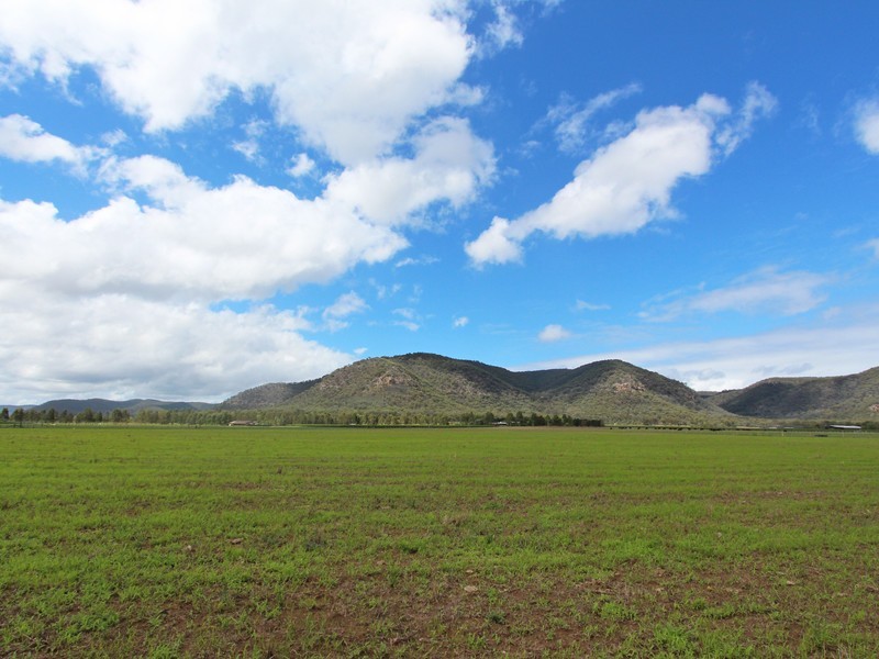 41/ Milbrodale Road, Broke NSW 2330