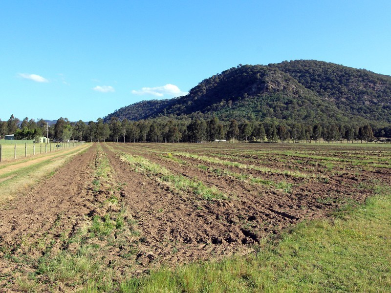 41/ Milbrodale Road, Broke NSW 2330