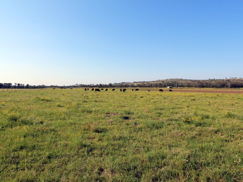 41/ Milbrodale Road, Broke NSW 2330