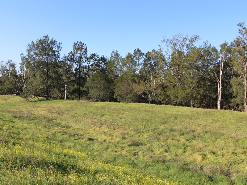 41/ Milbrodale Road, Broke NSW 2330