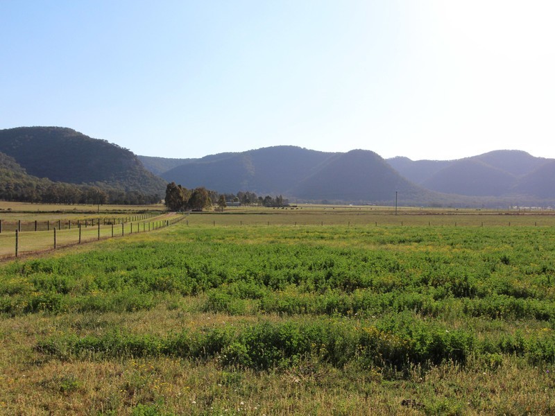 41/ Milbrodale Road, Broke NSW 2330