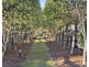 26 Paperbark Drive, Pokolbin NSW 2320