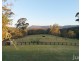 176 Wollong Road, Quorrobolong NSW 2325