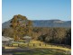 176 Wollong Road, Quorrobolong NSW 2325