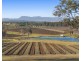 257 Sweetwater Road, Pokolbin NSW 2320