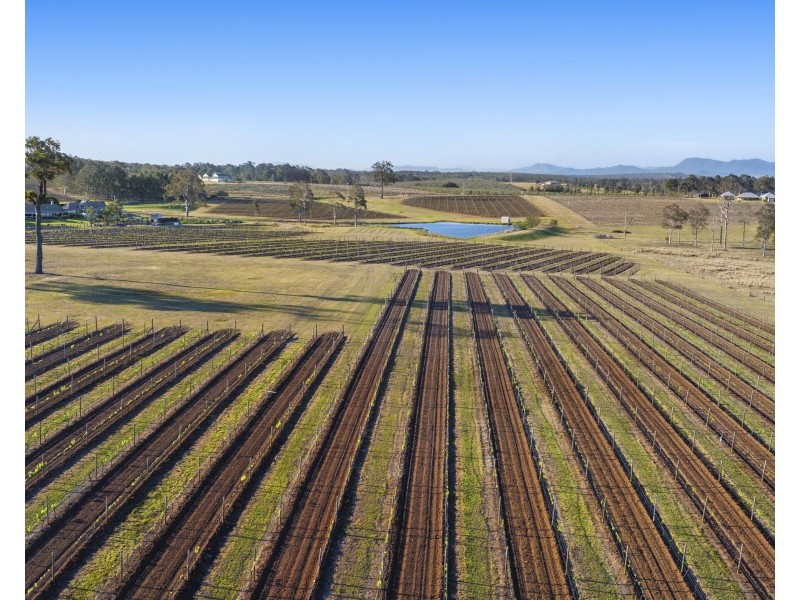 257 Sweetwater Road, Pokolbin NSW 2320