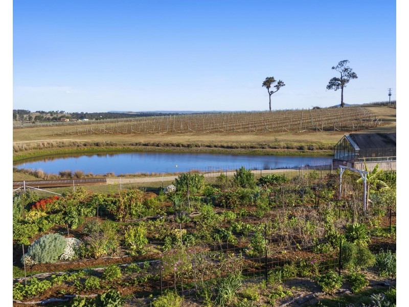 257 Sweetwater Road, Pokolbin NSW 2320