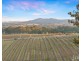 273 Sweetwater Road, Pokolbin NSW 2320