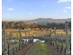 273 Sweetwater Road, Pokolbin NSW 2320