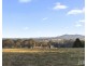 273 Sweetwater Road, Pokolbin NSW 2320