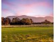 217 Deasys Road, Pokolbin NSW 2320