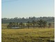 617 Dalwood Road, Dalwood NSW 2335