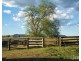 617 Dalwood Road, Dalwood NSW 2335