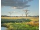 617 Dalwood Road, Dalwood NSW 2335