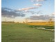 617 Dalwood Road, Dalwood NSW 2335