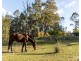 139 Lake Road, Elrington NSW 2325