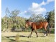 139 Lake Road, Elrington NSW 2325