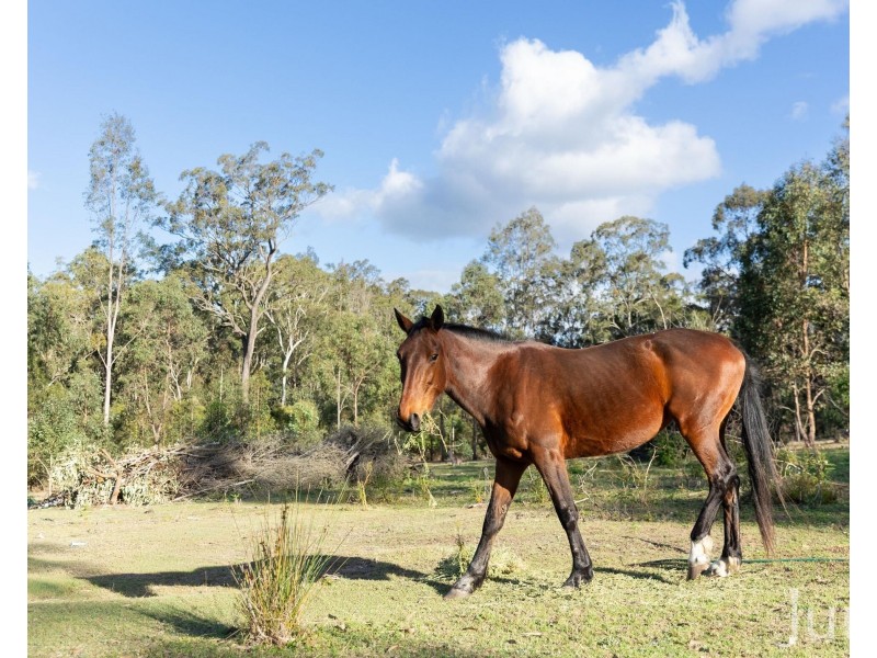 139 Lake Road, Elrington NSW 2325
