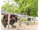 139 Lake Road, Elrington NSW 2325