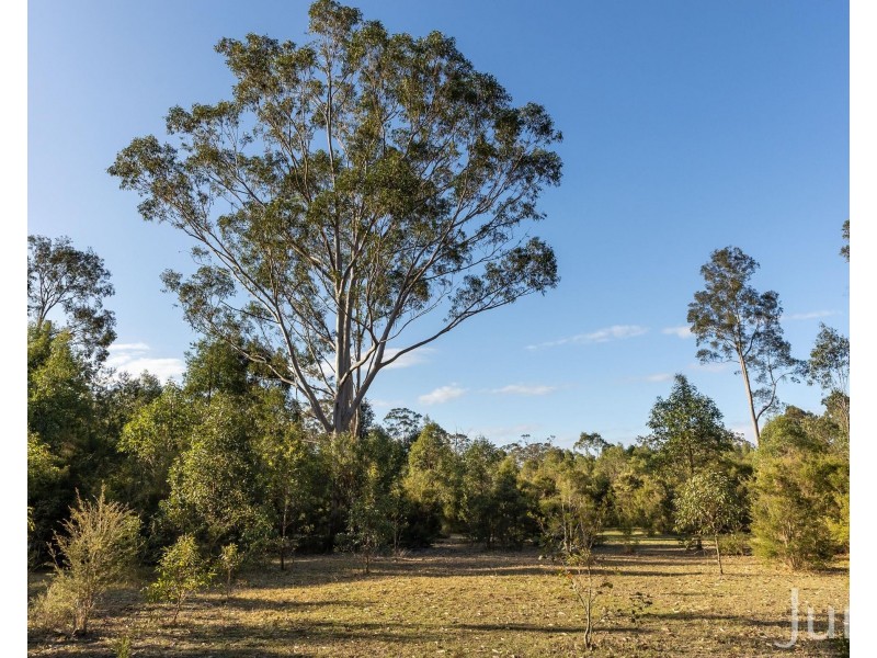 139 Lake Road, Elrington NSW 2325