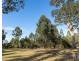 139 Lake Road, Elrington NSW 2325