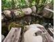 603 Lovedale Road, Lovedale NSW 2325