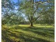 603 Lovedale Road, Lovedale NSW 2325