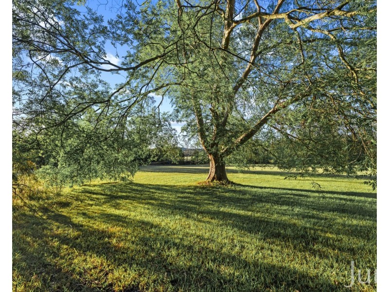 603 Lovedale Road, Lovedale NSW 2325