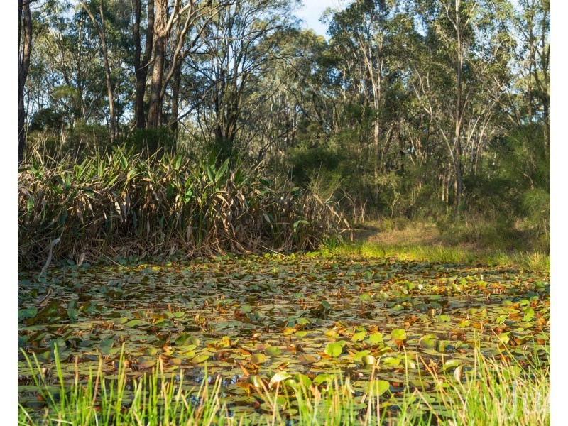 603 Lovedale Road, Lovedale NSW 2325