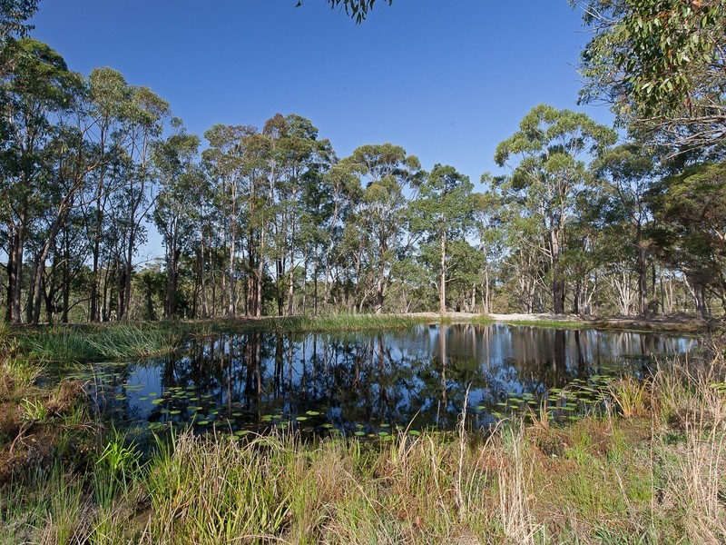 242 Mt Faulk Road, Cooranbong NSW 2265
