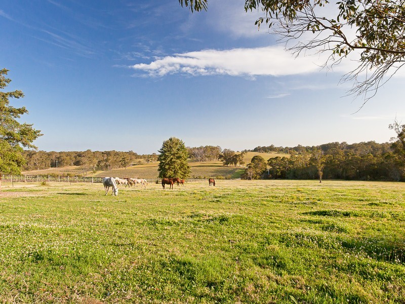 242 Mt Faulk Road, Cooranbong NSW 2265