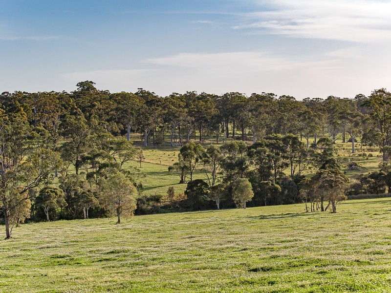 242 Mt Faulk Road, Cooranbong NSW 2265