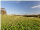 242 Mt Faulk Road, Cooranbong NSW 2265