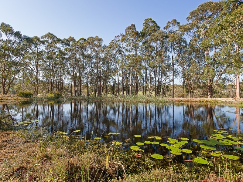 242 Mt Faulk Road, Cooranbong NSW 2265