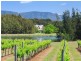 112 Halls Road, Pokolbin NSW 2320
