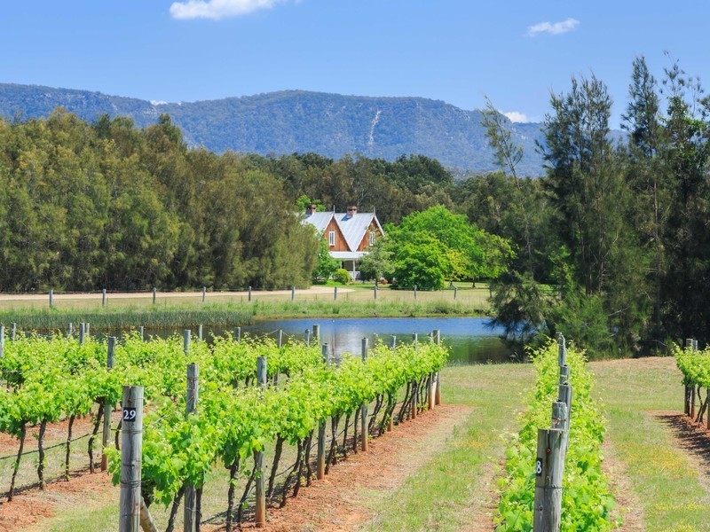 112 Halls Road, Pokolbin NSW 2320