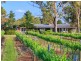 112 Halls Road, Pokolbin NSW 2320