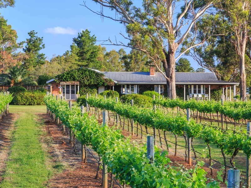 112 Halls Road, Pokolbin NSW 2320