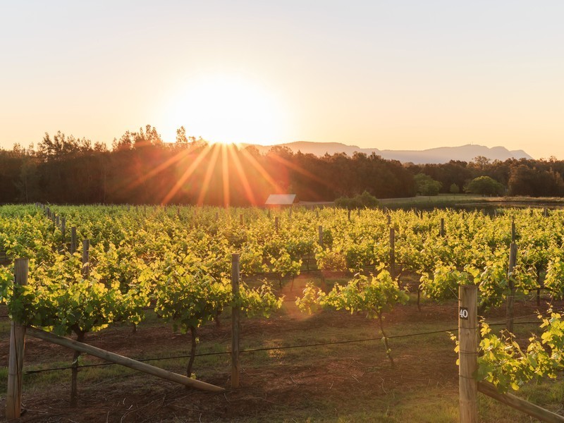 112 Halls Road, Pokolbin NSW 2320