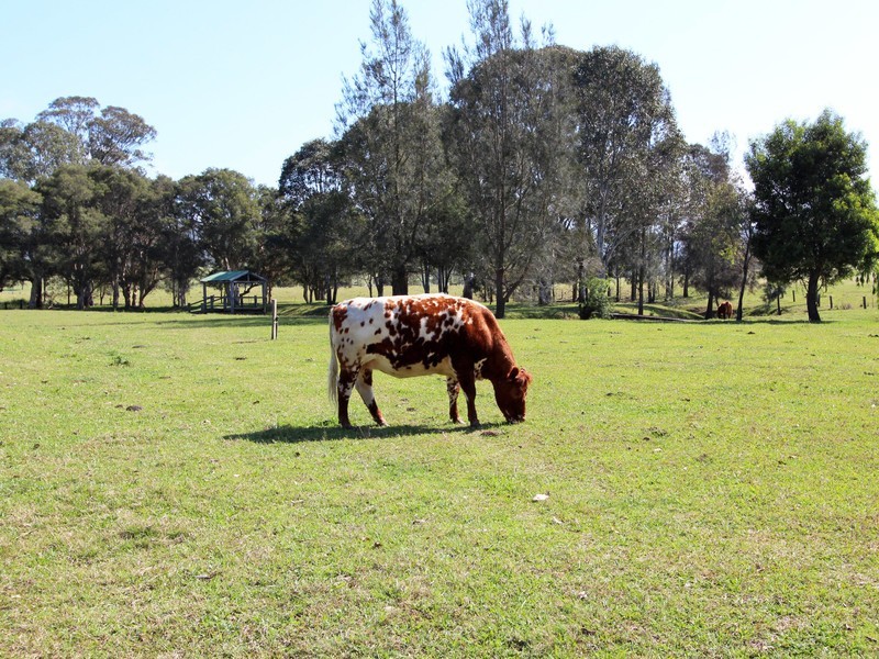 8 Owens Avenue, Millfield NSW 2325