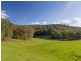 117 Milsons Arm Road, Wollombi NSW 2325