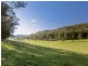 117 Milsons Arm Road, Wollombi NSW 2325