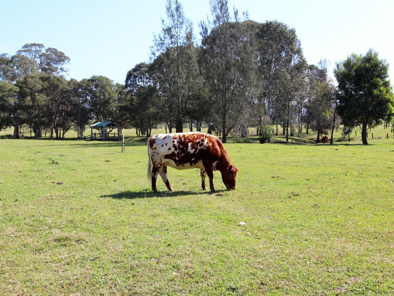 8 Owens Avenue, Millfield NSW 2325